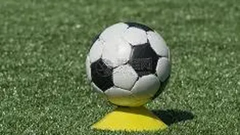 吴敏霞喜提二胎：冬奥之旅将添新成员，四口之家共赴冰雪盛宴