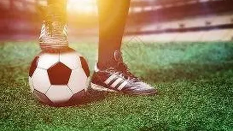 芒果超媒（300413）8月15日高管最新回应解析